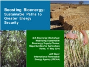Boosting Bioenergy: sustainable paths to greater energy security