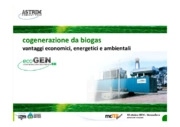 Impianti biogas - sistema cogenerativo