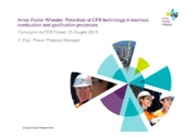 Le potenzialita’ della tecnologia CFB nella combustione e nei processi di gassificazione della biomassa