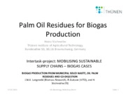 Palm Oil Residues for Biogas Production