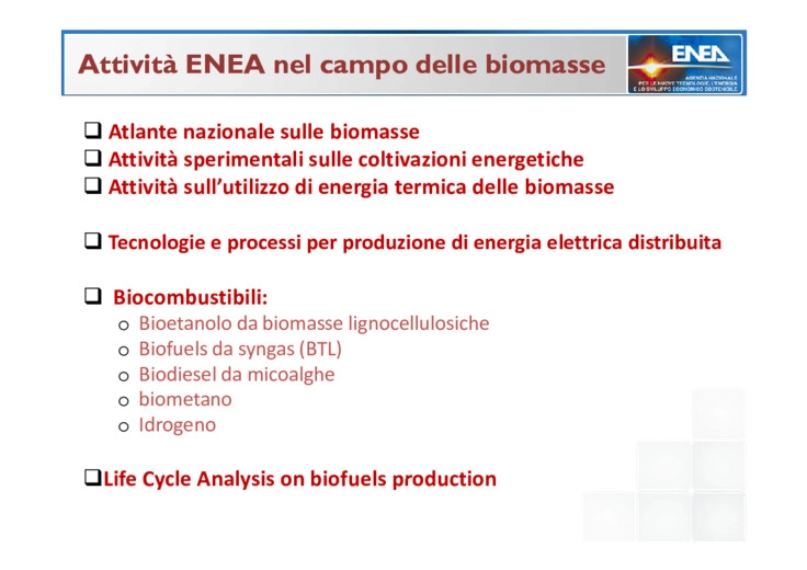 Attivit Enea sulle filiere tecnologiche delle biomasse