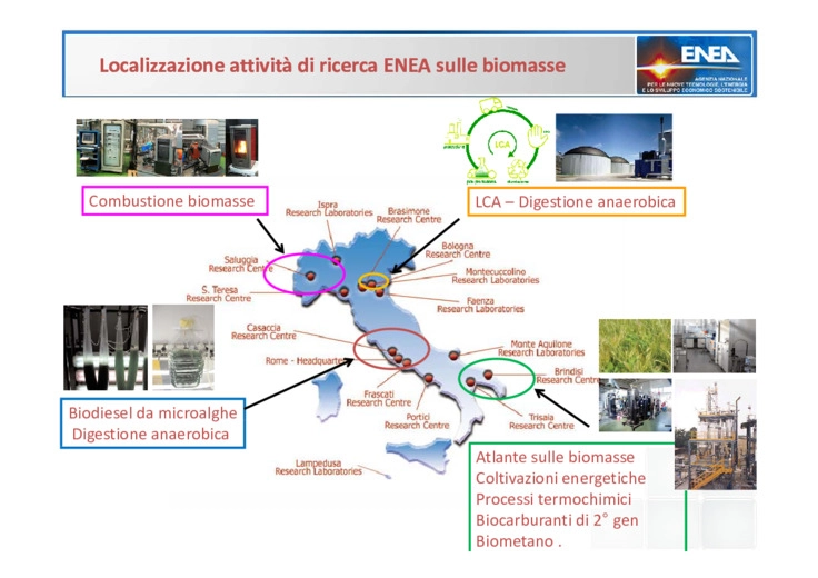 Attivit Enea sulle filiere tecnologiche delle biomasse