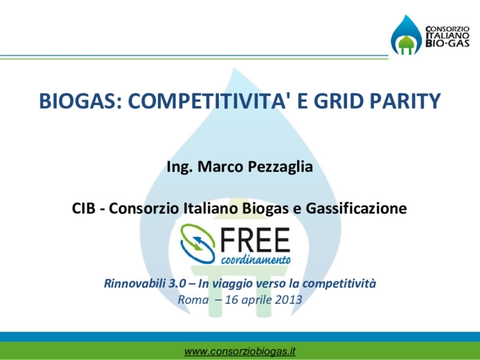 Biogas: competitivit e grid parity