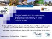 Bioenergia, Biogas, Biometano