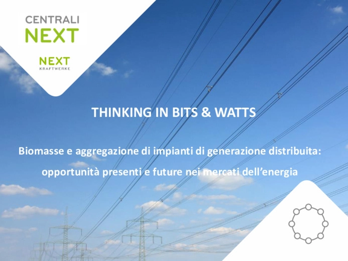 Biomasse e aggregazione di impianti di generazione distribuita: opportunit presenti e future nei mercati dellenergi