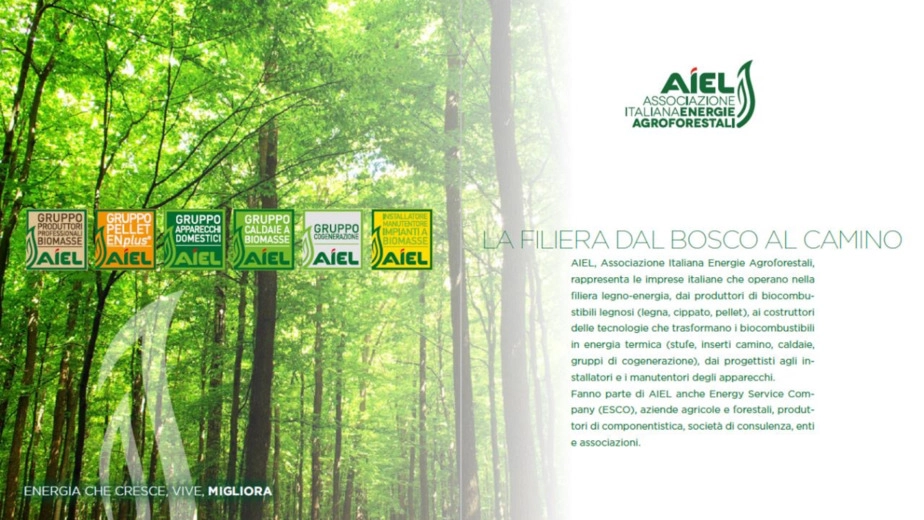 Biomasse e decarbonizzazione: la filiera agroforestale  protagonista della riconversione green