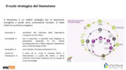 Biometano da rifiuti: stato dell’arte e scenari futuri