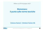 Cristiano Fiameni - CIG - Comitato Italiano Gas