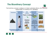 Bioraffineria a partire da biomassa: risultati conseguiti e prospettive per
