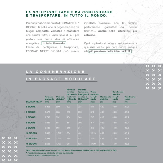BENVENUTI NELLA NUOVA ERA DELLA COGENERAZIONE: ECOMAX® NEXT Biogas