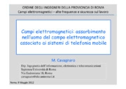 Campi elettromagnetici: assorbimento nell'uomo del campo elettromagnetico associato ai sistemi di telefonia mobile