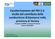 Caratterizzazione del PM 2.5: studio del contributo della combustione di biomasse nella provincia di Verona