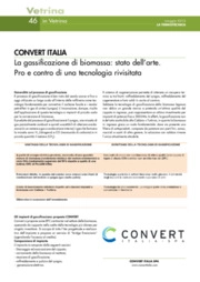 CONVERT ITALIA La gassificazione di biomassa: stato dell