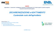 Decarbonizzazione e adattamento. Il potenziale ruolo dell