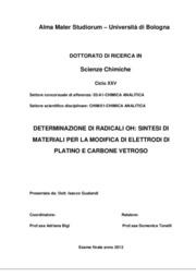 Isacco Gualandi  - Universit Degli Studi di Bologna