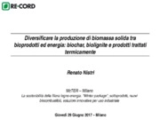Renato Nistri - RE-CORD - Consorzio per la Ricerca e la Dimostrazione sulle Energie Rinnovabili