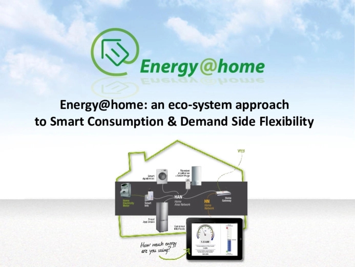 Energy@home: an eco-system approach to smart consumption end demand side flexibility