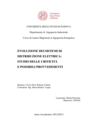 Diletta Premuda - Department of Industrial Engineering, University of Padova