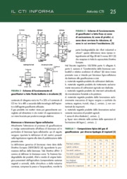 Gassificazione di Biomassa e Raccomandazione 13 CTI. Stato dell’Arte