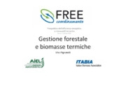 Vito Pignatelli - Itabia - Italian Biomass Association