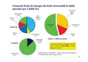 Gestione forestale e biomasse termiche 