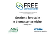 Vito Pignatelli - Itabia - Italian Biomass Association