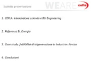 Impianti di Trigenerazione ad ammoniaca chiavi in mano. Analisi di