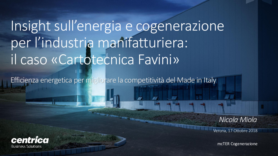 Insight Sull Energia E Cogenerazione Per L Industria