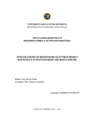 Alberto Feltracco - Department of Industrial Engineering, University of Padova