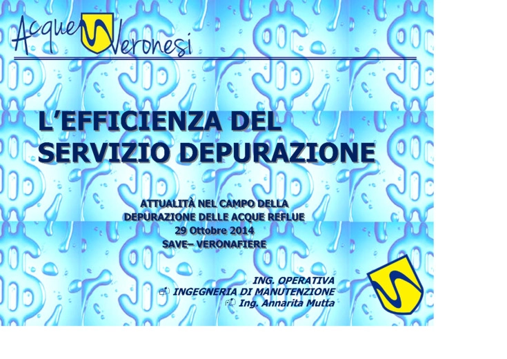 L’efficienza del servizio depurazione 