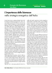 Matteo Monni - Itabia - Italian Biomass Association