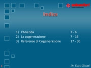 La cogenerazione a biomassa: i casi di successo