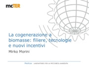 La cogenerazione a biomasse: filiere, tecnologie e nuovi incentivi