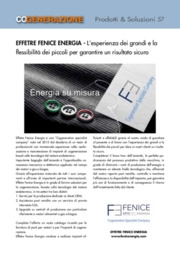 EFFETRE FENICE ENERGIA  - Effetre Fenice Energia