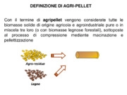 La filiera dell’agripellet: struttura e soluzioni tecnologiche 