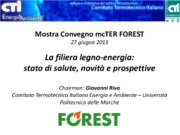 La filiera legno-energia: stato di salute, novità e prospettive