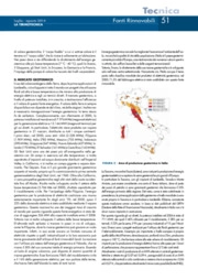 La geotermia: la situazione del contesto italiano