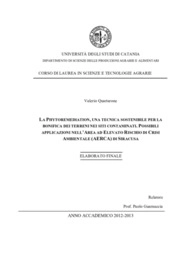 Valerio Quartarone - Universit degli Studi di Catania