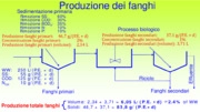 La qualità dei fanghi di depurazione e confronto dei limiti