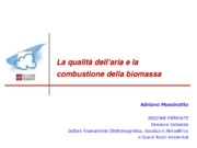 La qualità dell’aria e la combustione della biomassa