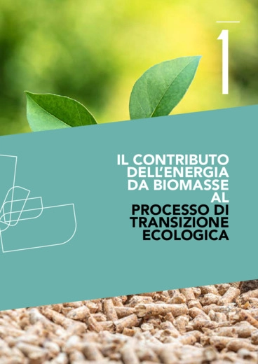 Le 7 proposte del Coordinamento Free per l'Italia a 2030: il contributo dell'energia da biomasse