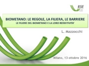Luigi Mazzocchi - RSE - Ricerca sul Sistema Energetico