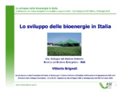 Lo sviluppo delle bioenergie in Italia