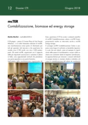 mcTER Contabilizzazione, biomasse ed energy storage