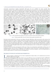 Micromeccanismi di propagazione della cricca di fatica in una ghisa