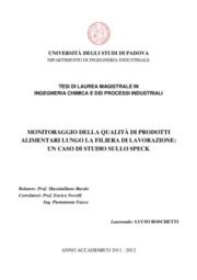 Lucio Boschetti - Department of Industrial Engineering, University of Padova