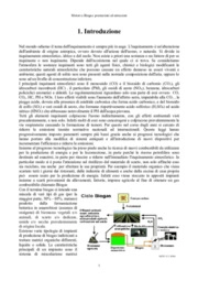Nicol Franceschinini - Department of Industrial Engineering, University of Padova