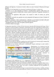 Motori a biogas: prestazioni ed emissioni