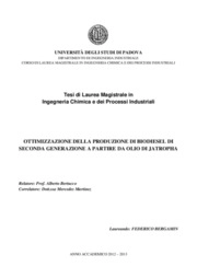 Federico Bergamin - Department of Industrial Engineering, University of Padova