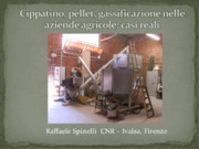 Raffaele Spinelli  - CNR Ivalsa